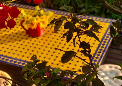 Terrasse Sud Hôtel Bastia